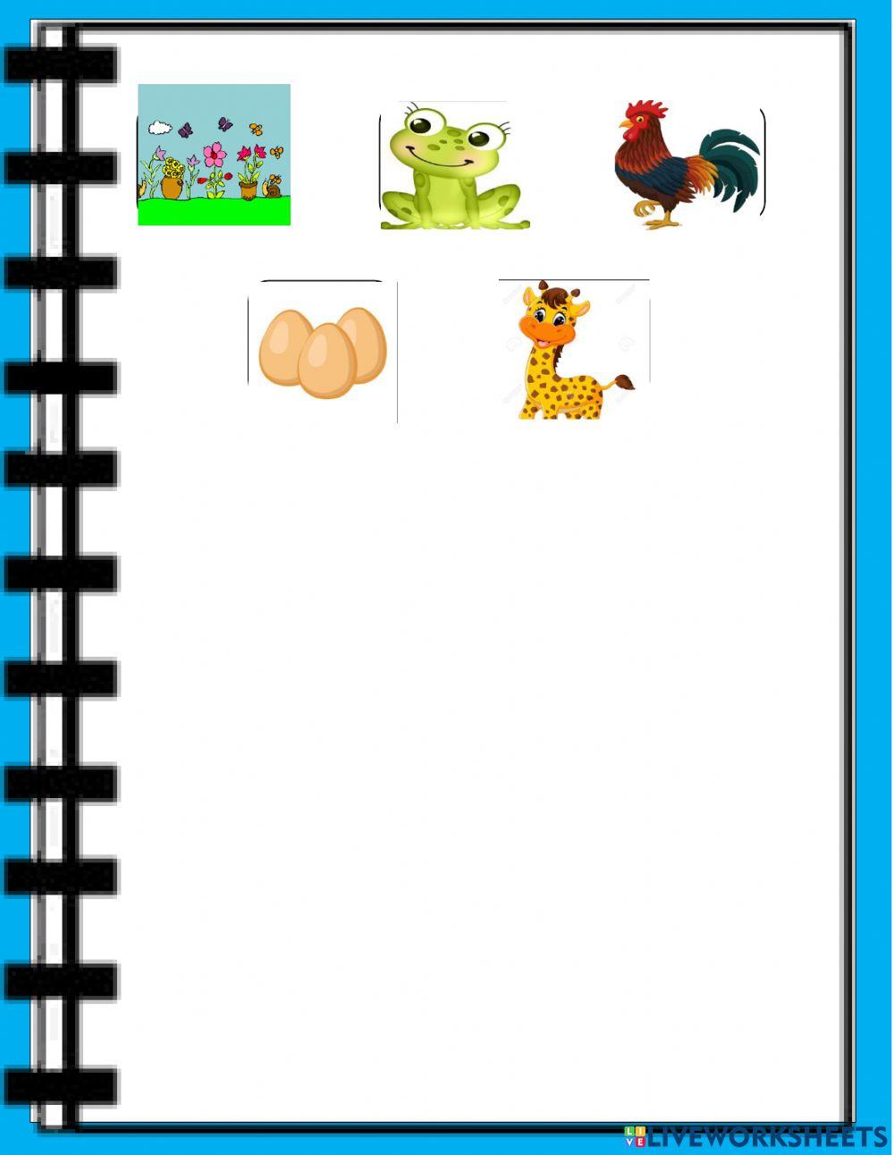 Patrones libro álbum