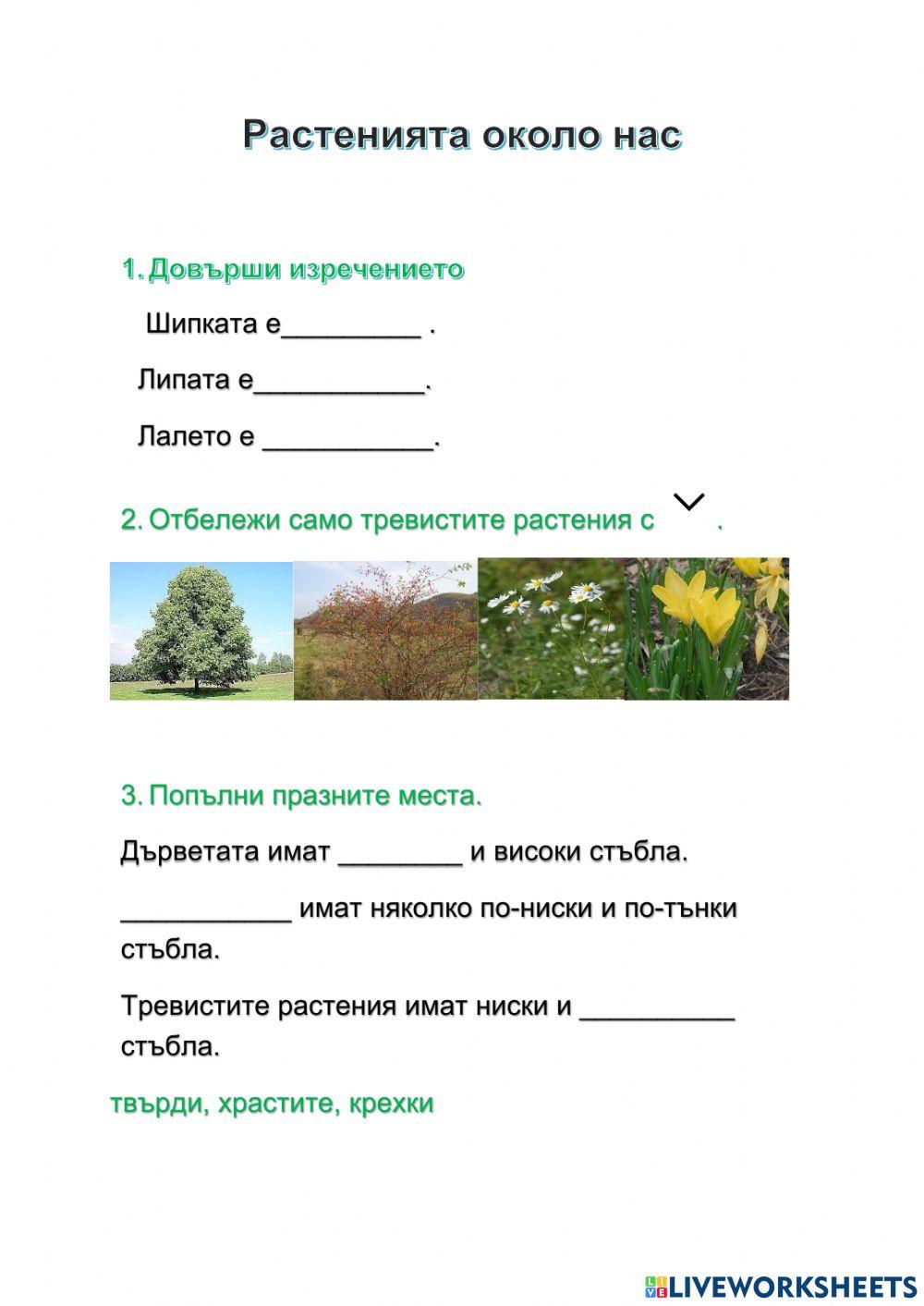 Дървета, храсти и тревисти растения | Първо основно