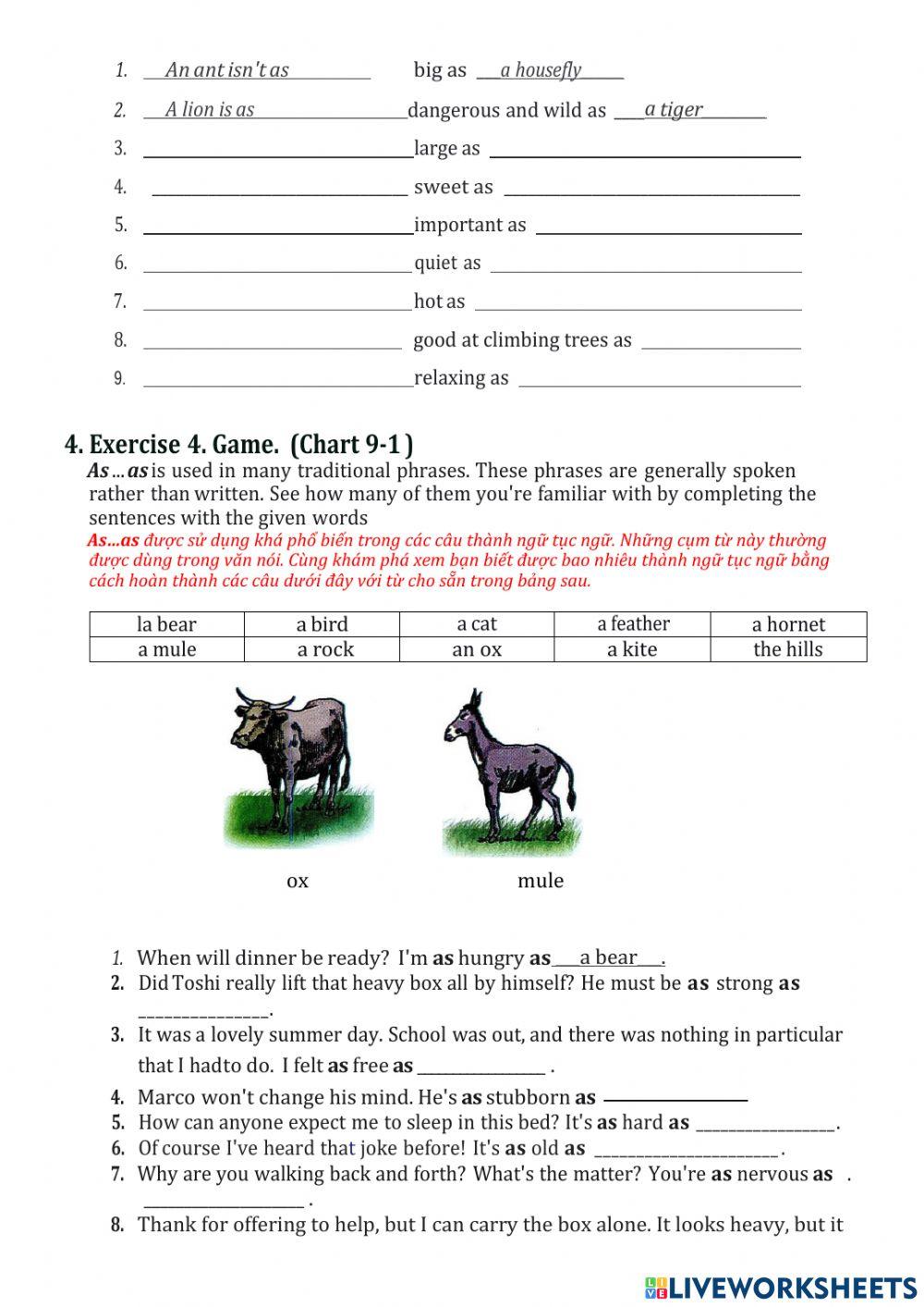 Chapter 9-part 1- fundamentals of english grammar
