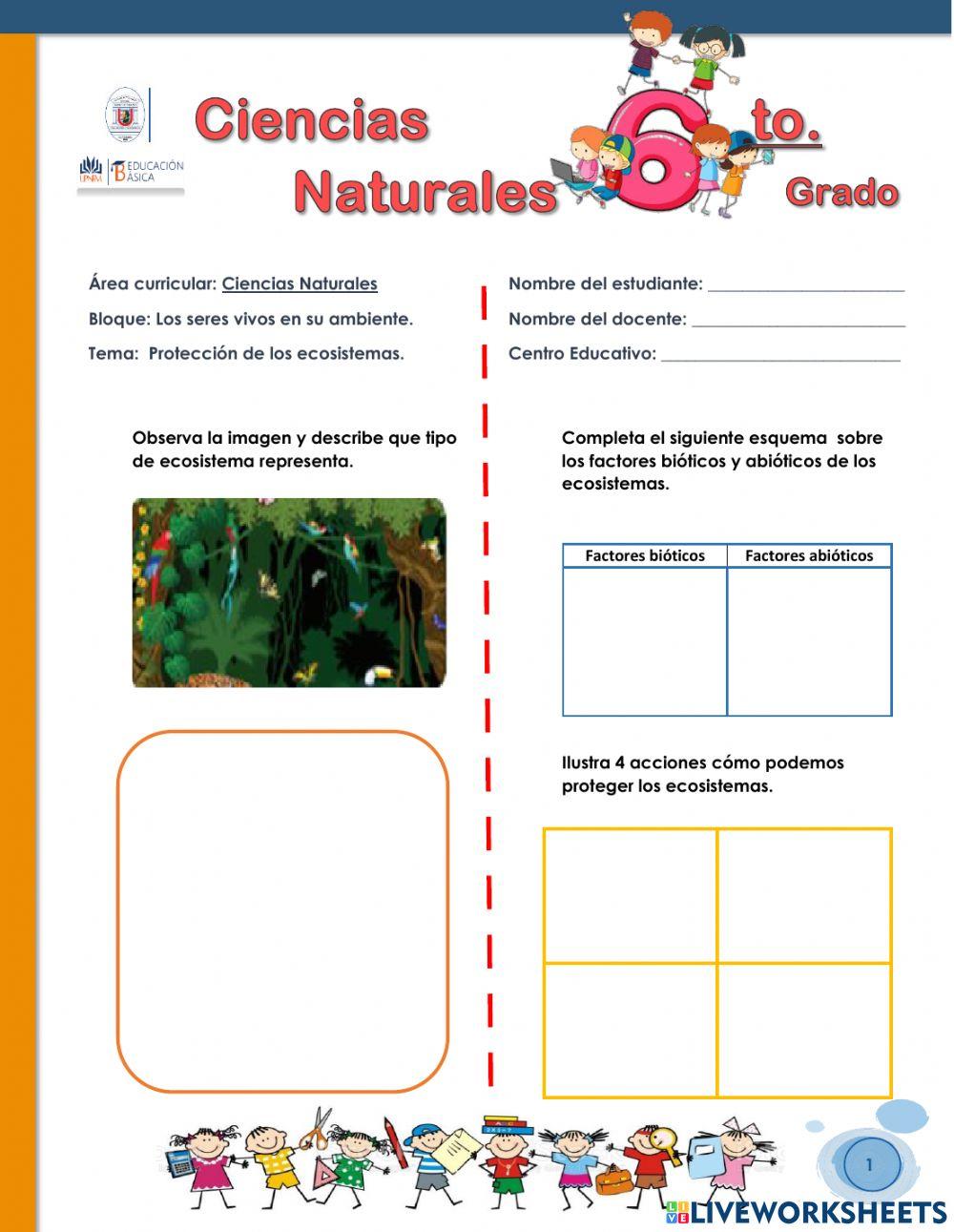 Protección de los ecosistemas