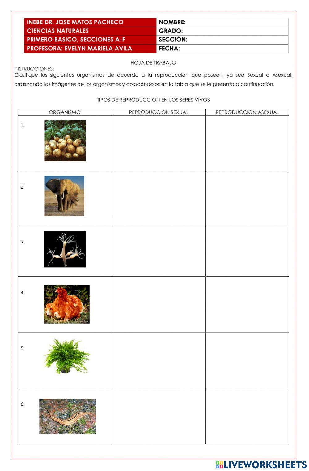 Tipos de reproducción