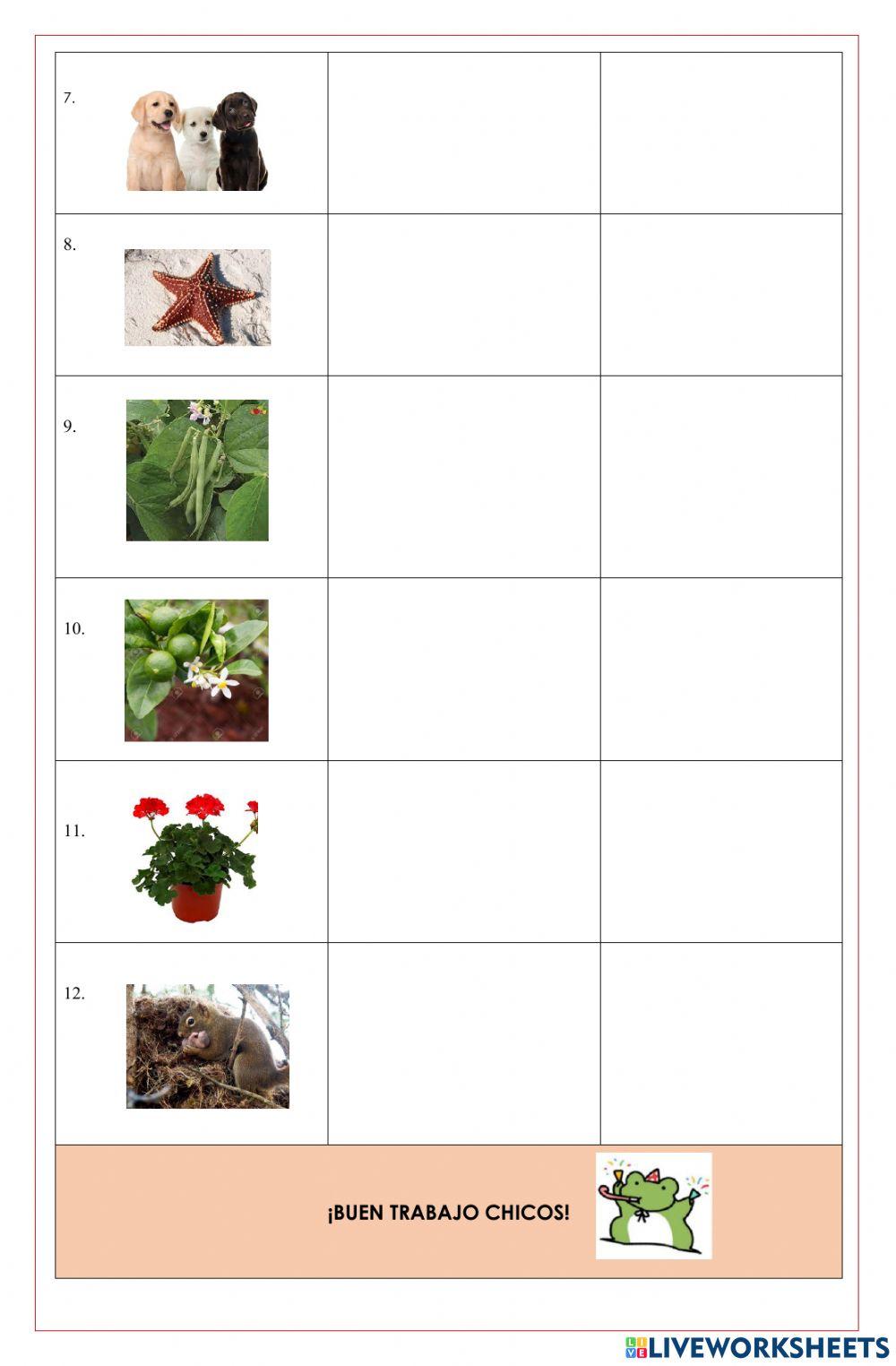 Tipos de reproducción