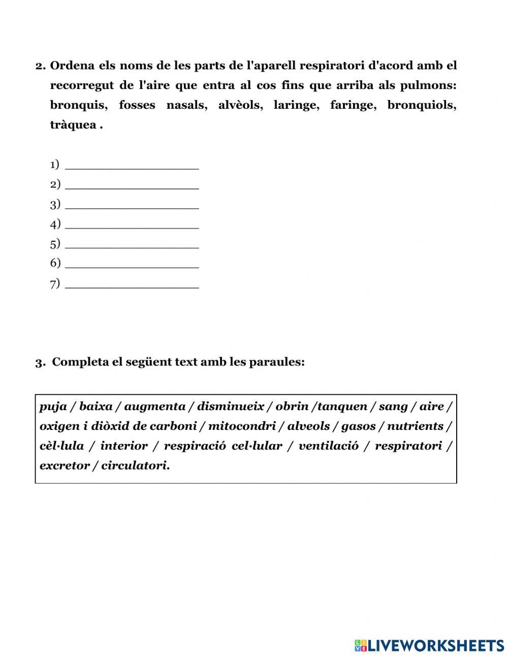 Resum aparell respiratori