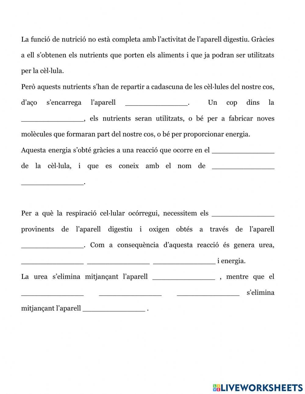 Resum aparell respiratori