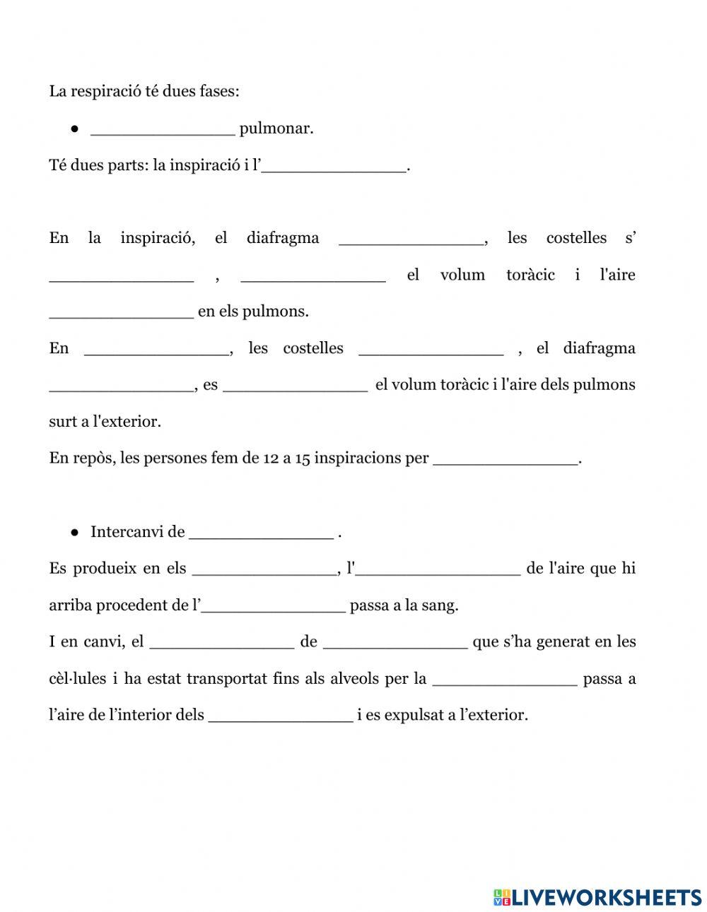 Resum aparell respiratori