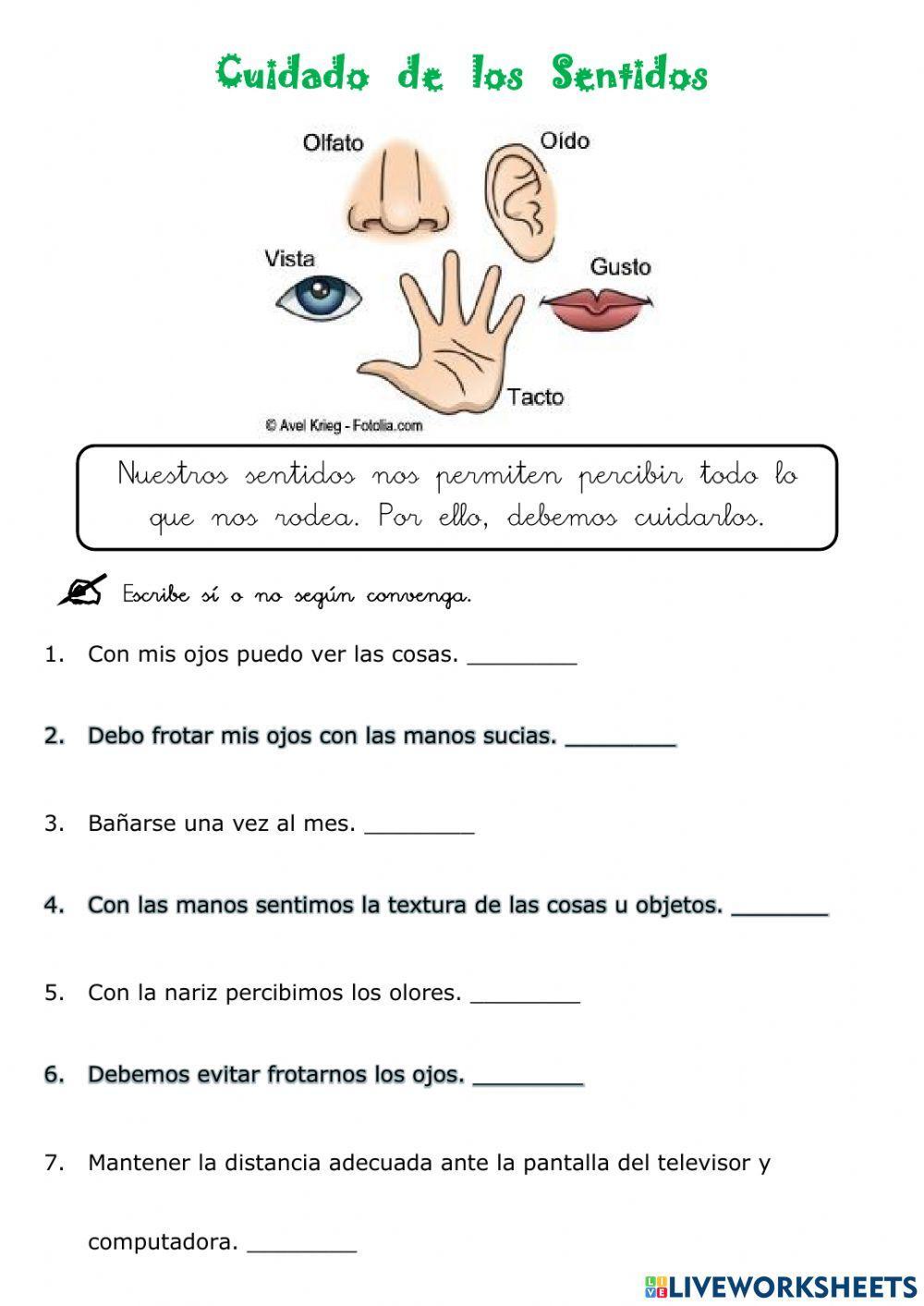 Cuidamos nuestros sentidos