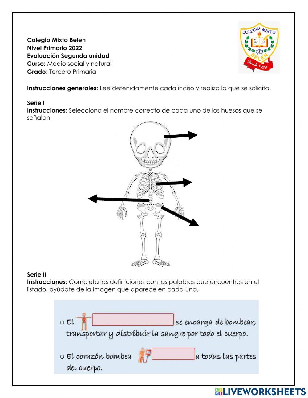 Evaluación de Bimestre 2-Ms y N