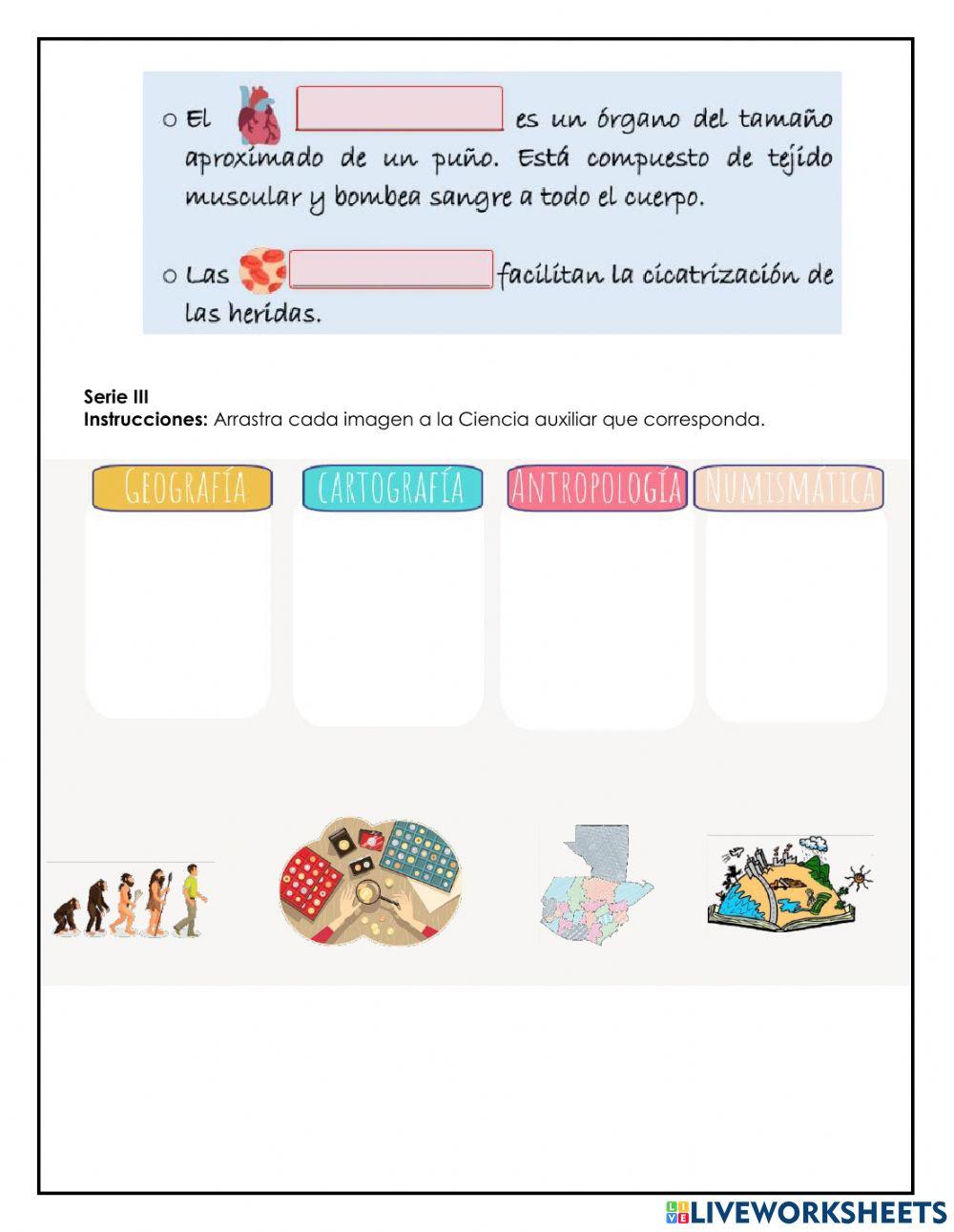 Evaluación de Bimestre 2-Ms y N