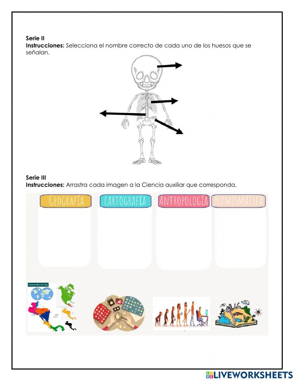 Evaluación de Bimestre 2-Ms y N
