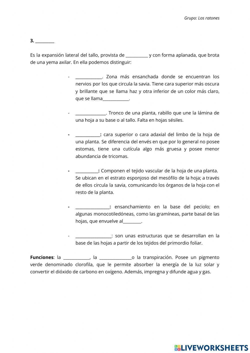 Partes de una planta