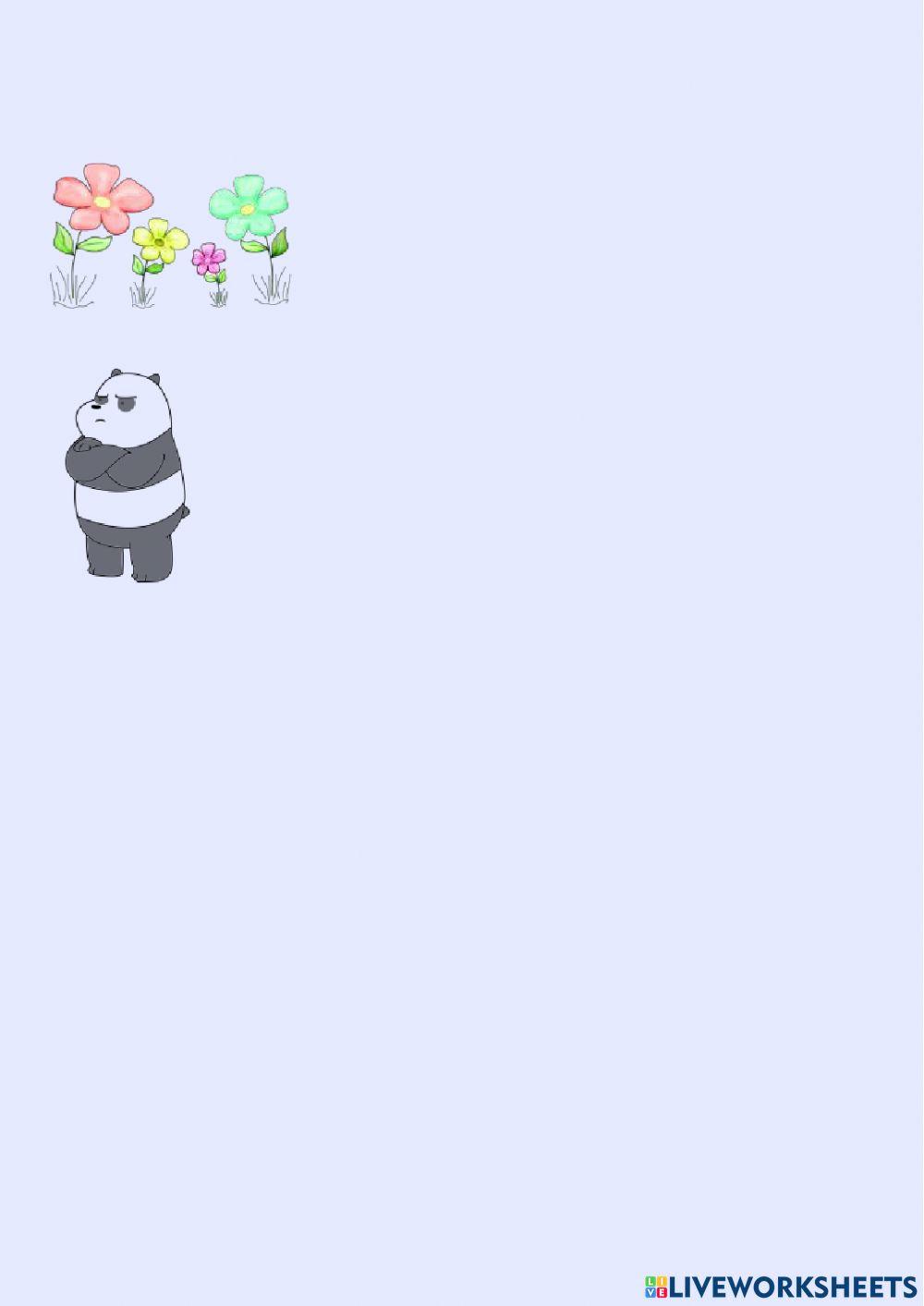 Singulares y Plurales