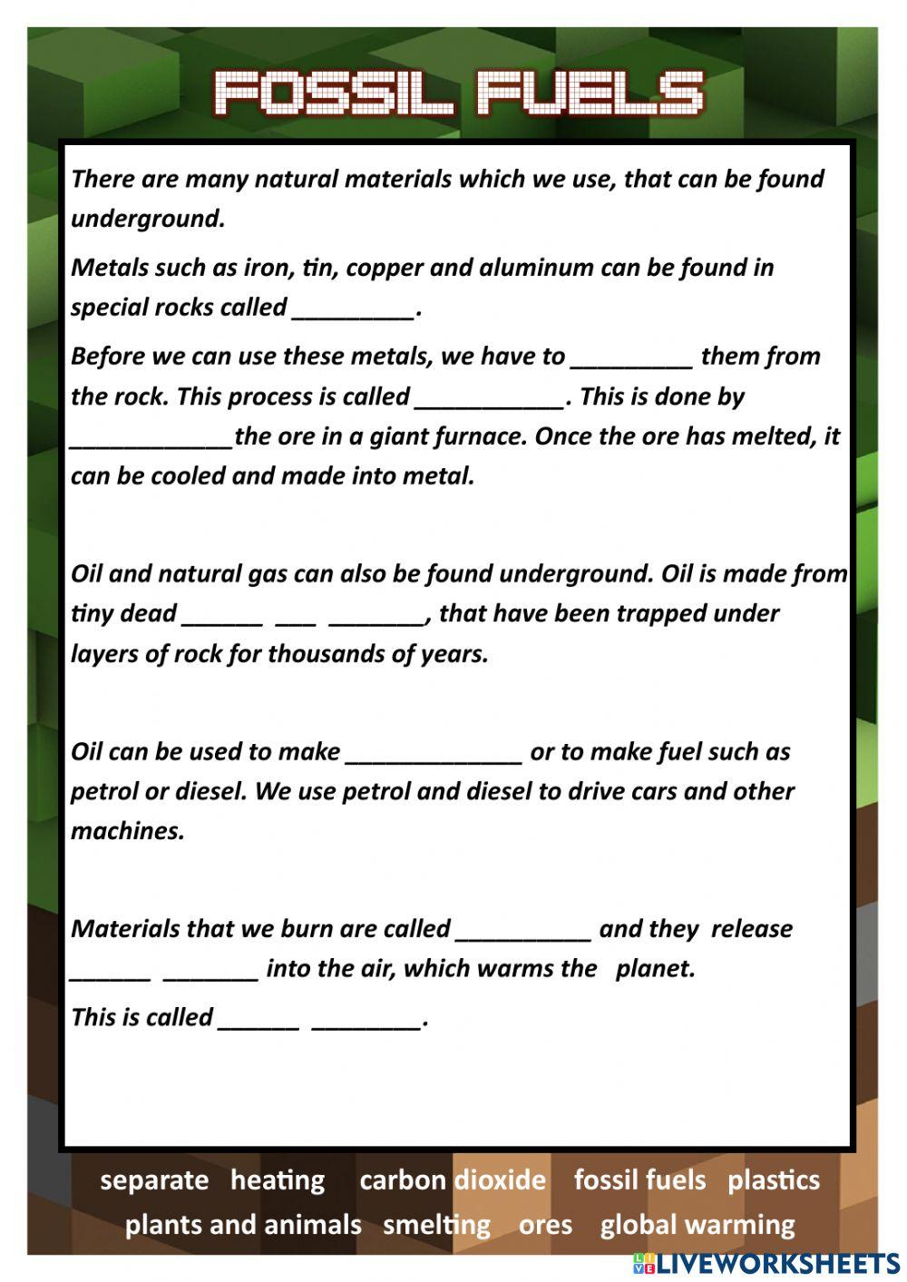 Cambridge Grade 2 Science Review 2