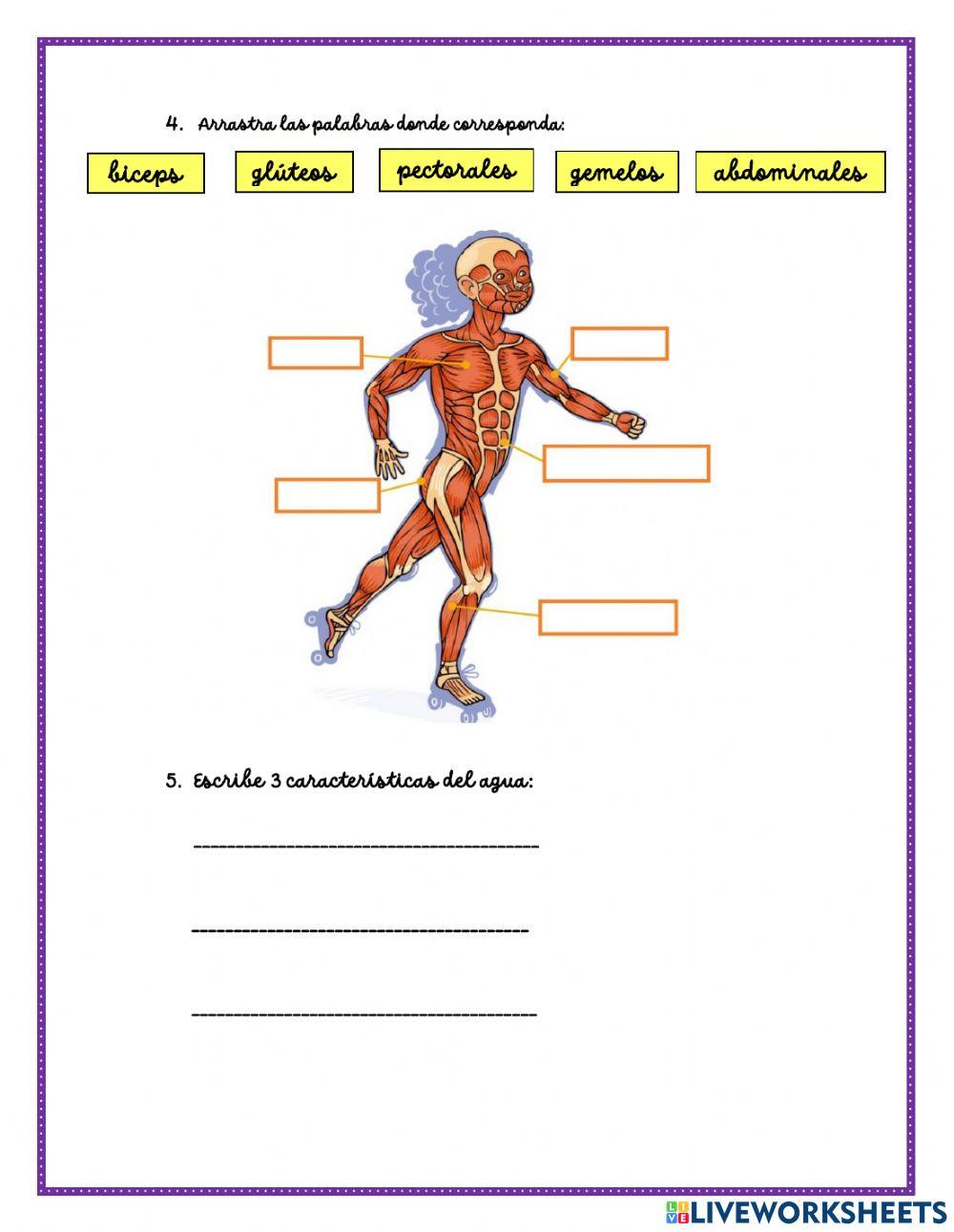 Examen ciencia y ambiente