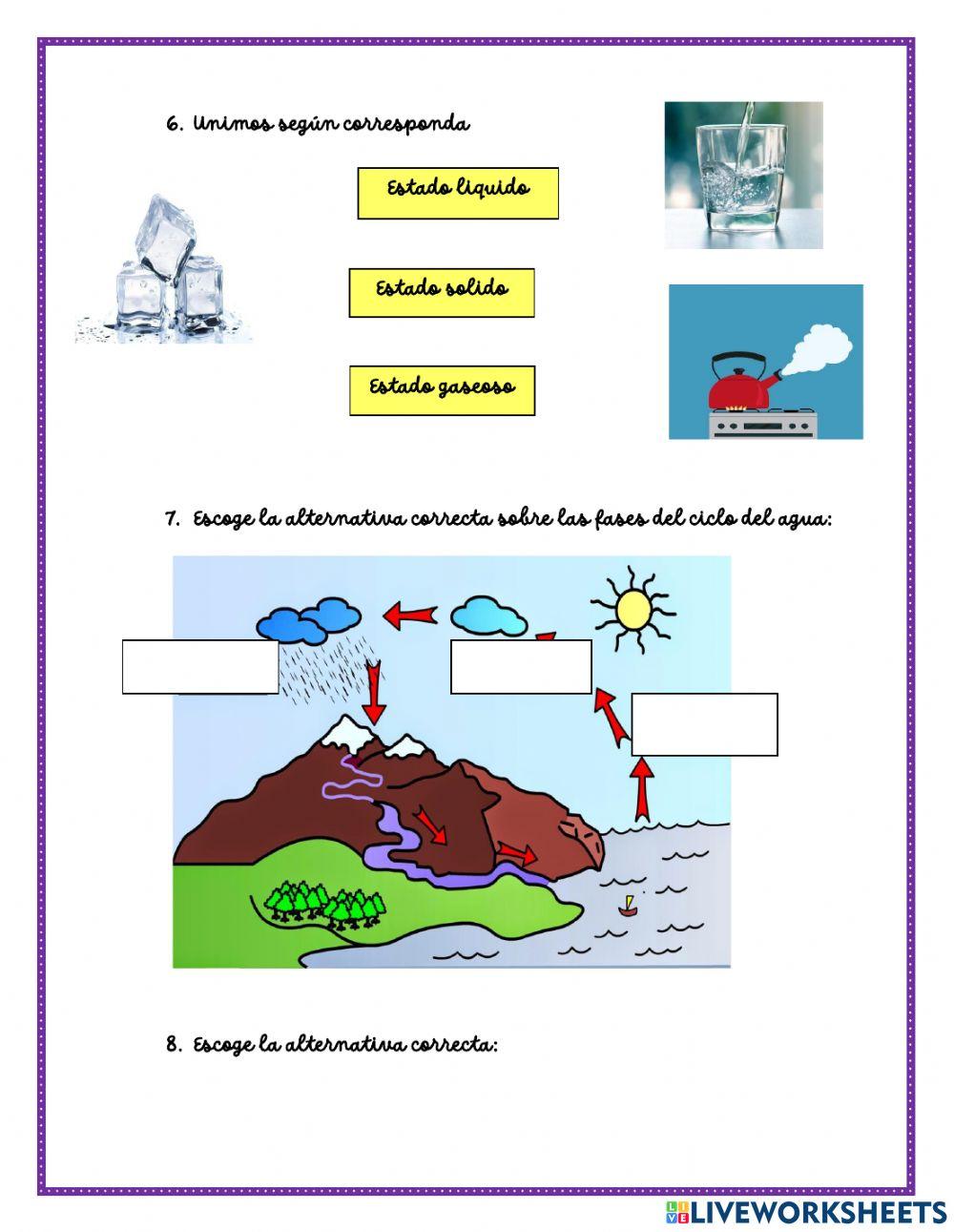 Examen ciencia y ambiente