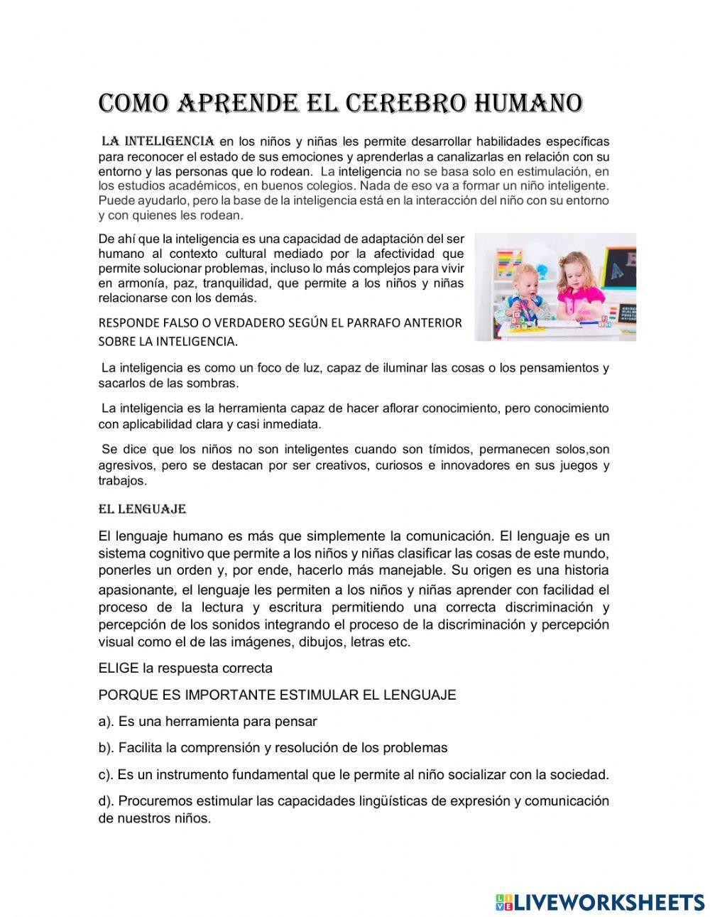 Como aprende el cerebro