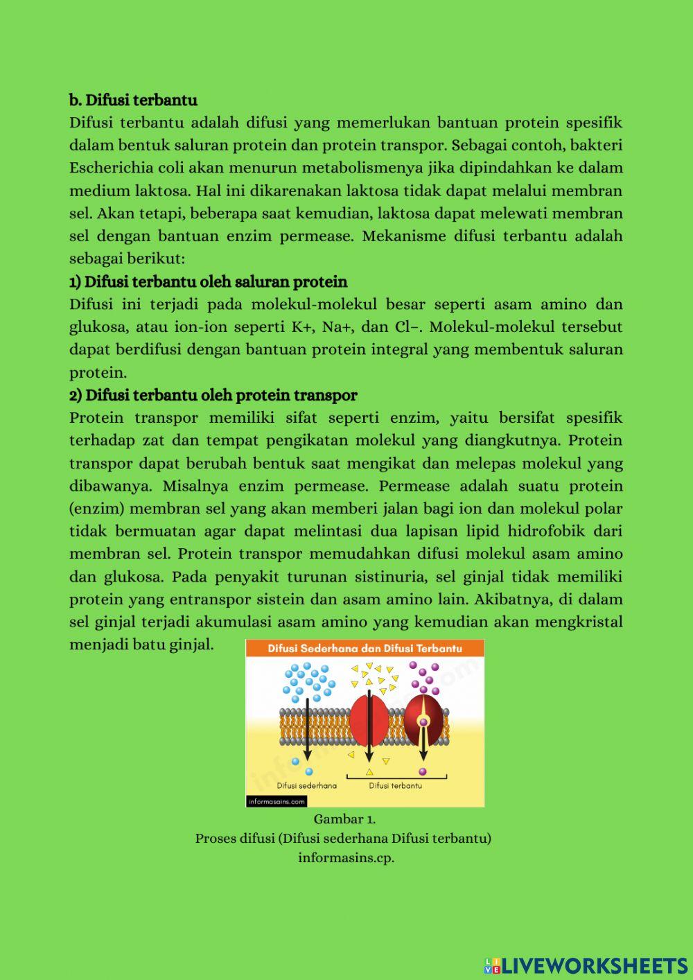 E-book biologi