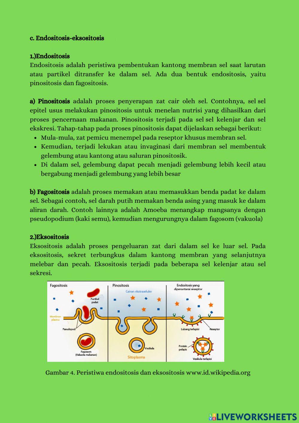 E-book biologi