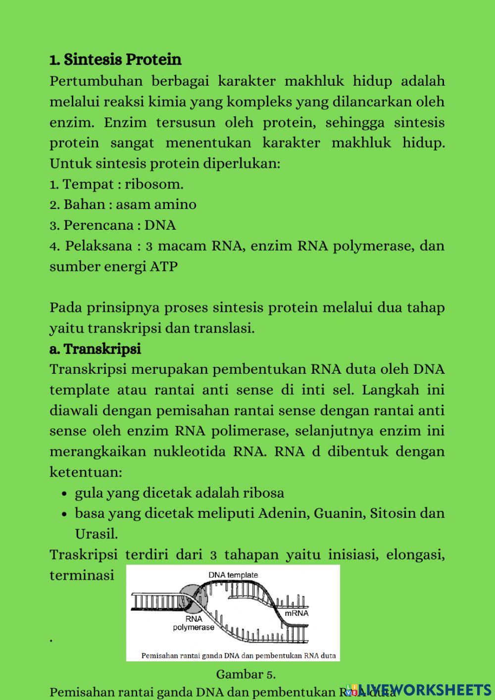 E-book biologi