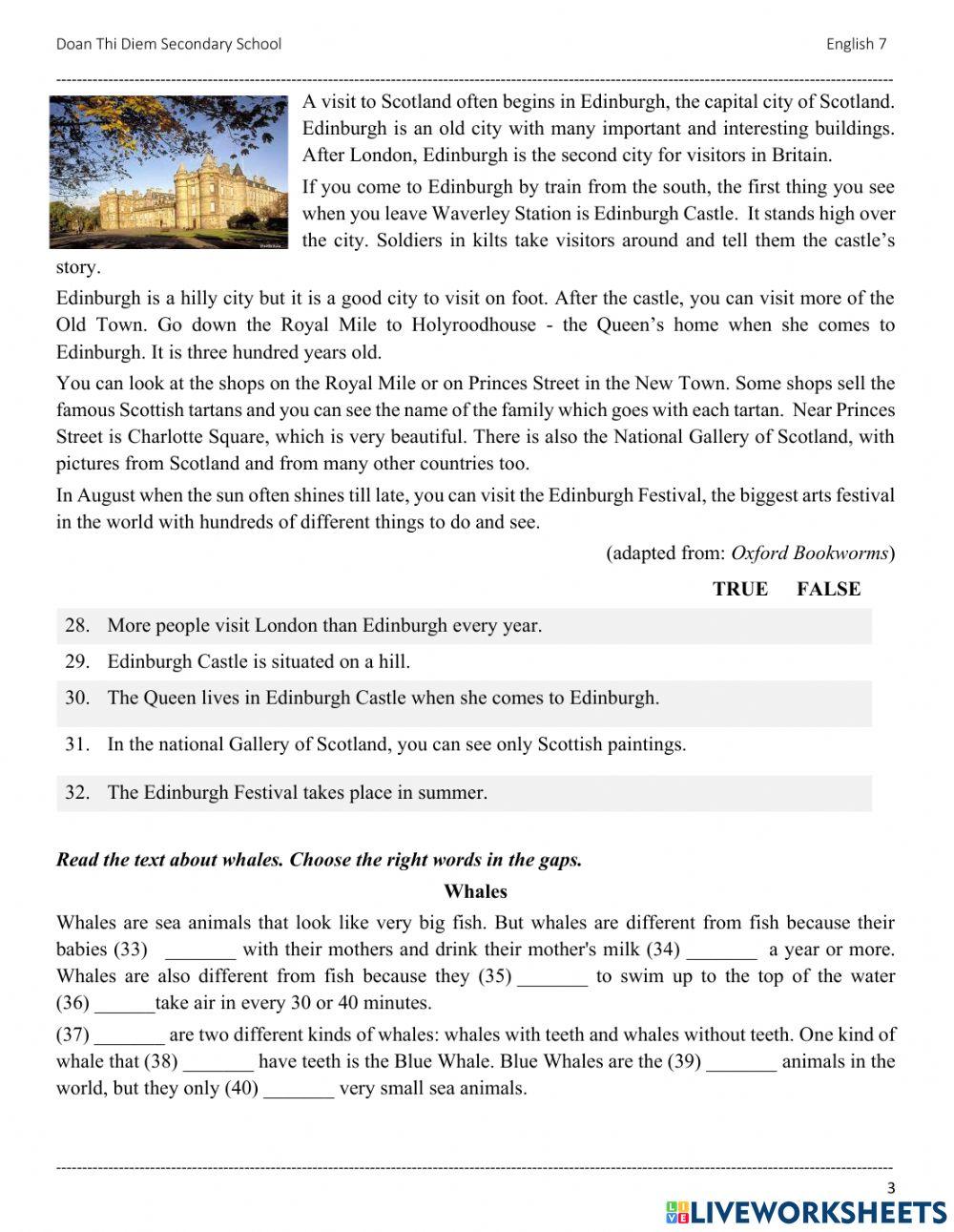 GRADE 7 - END TERM - PRACTICE TEST 4