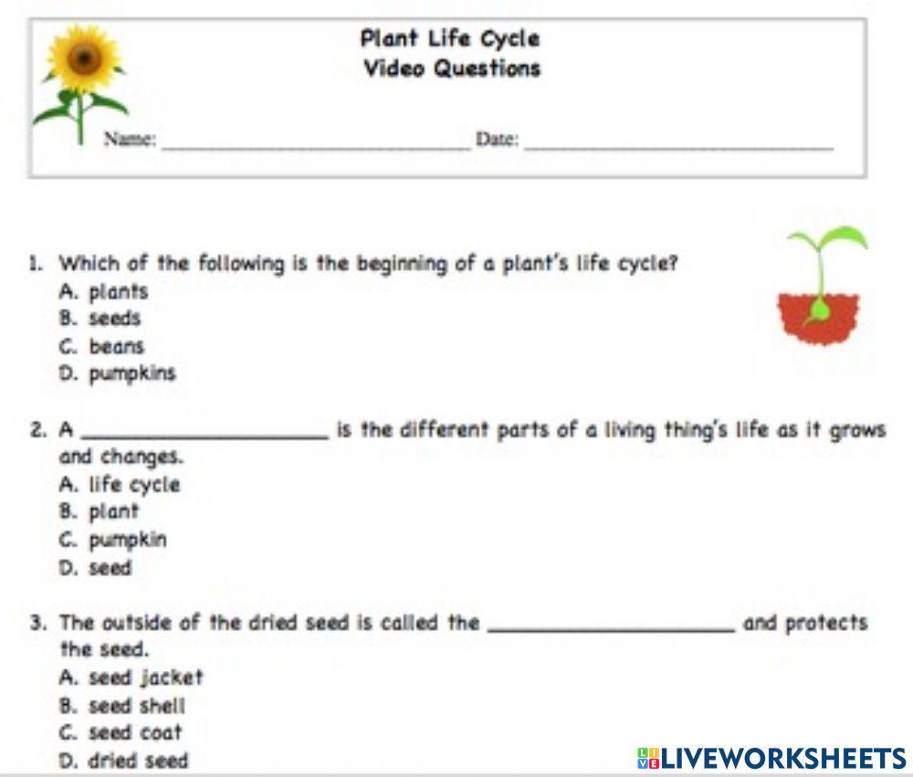 Multiple Choice Online Exercise For Grade 1 Live Worksheets multiple-choice-online-exercise-for-grade-1-live-worksheets