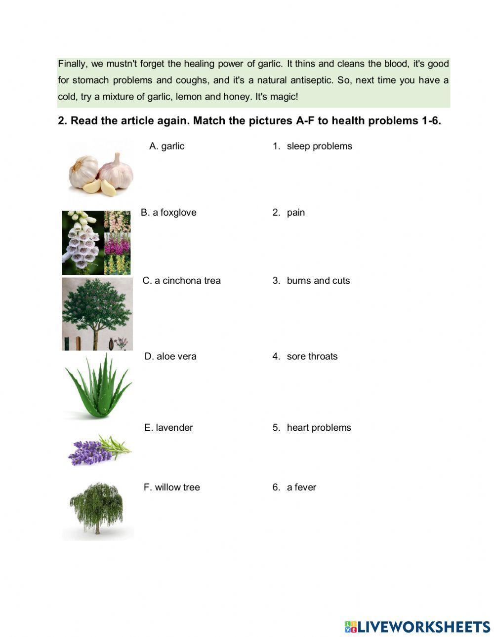 NATURAL MEDICINES Lesson preparation