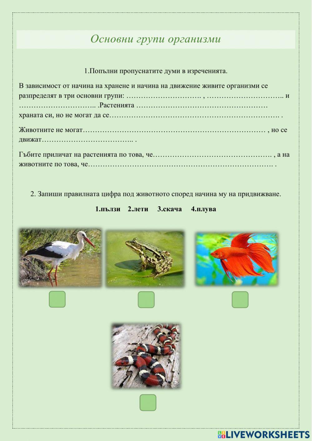 Основни групи организми