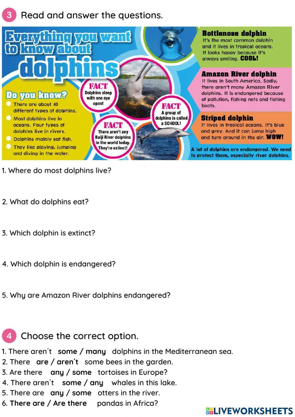 Unit 4 -Endangered animals- test Heroes 4