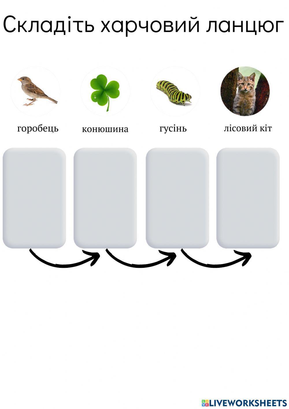 Харчовий ланцюг