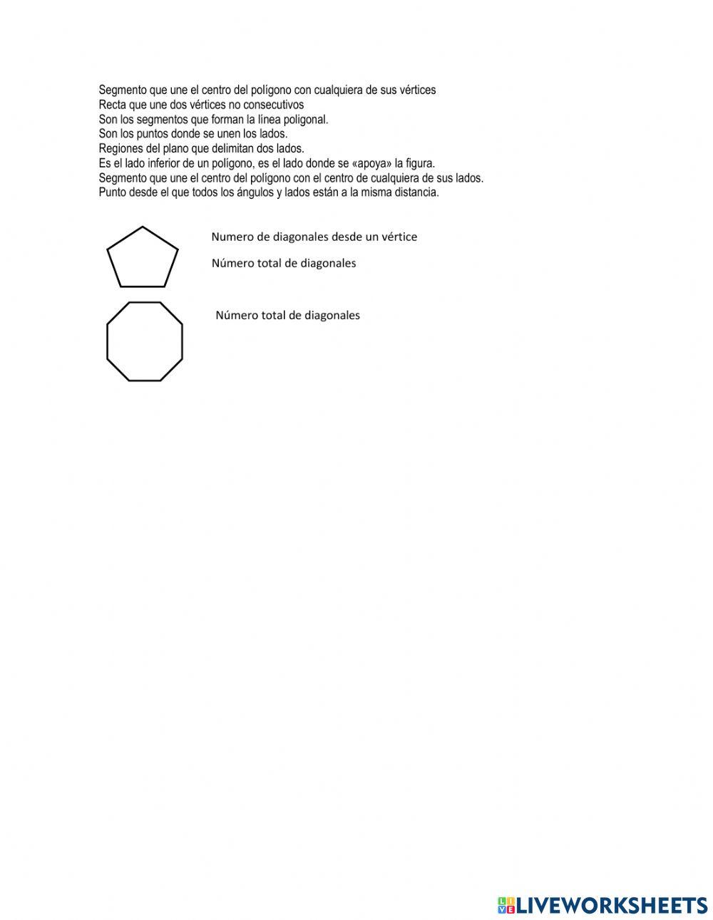 El polígono y sus partes