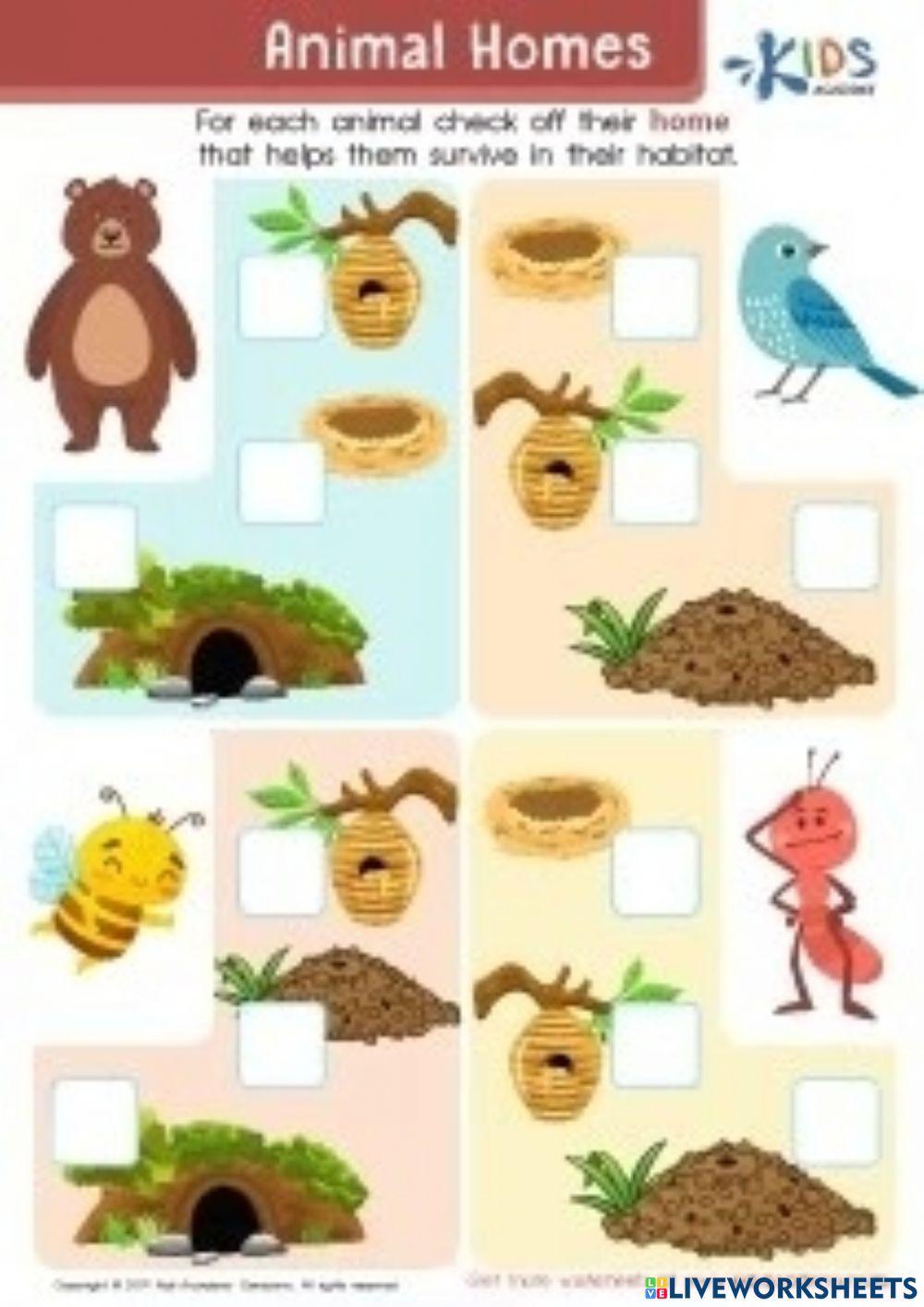 Where are they live?