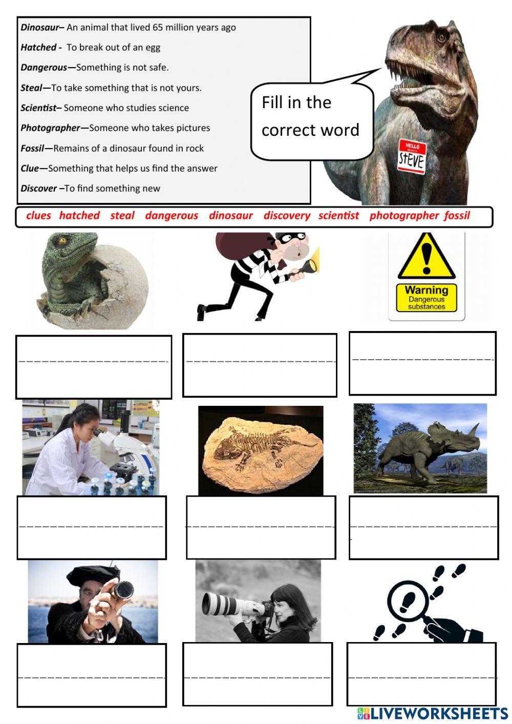 Cambridge Grade 2 ESL Review