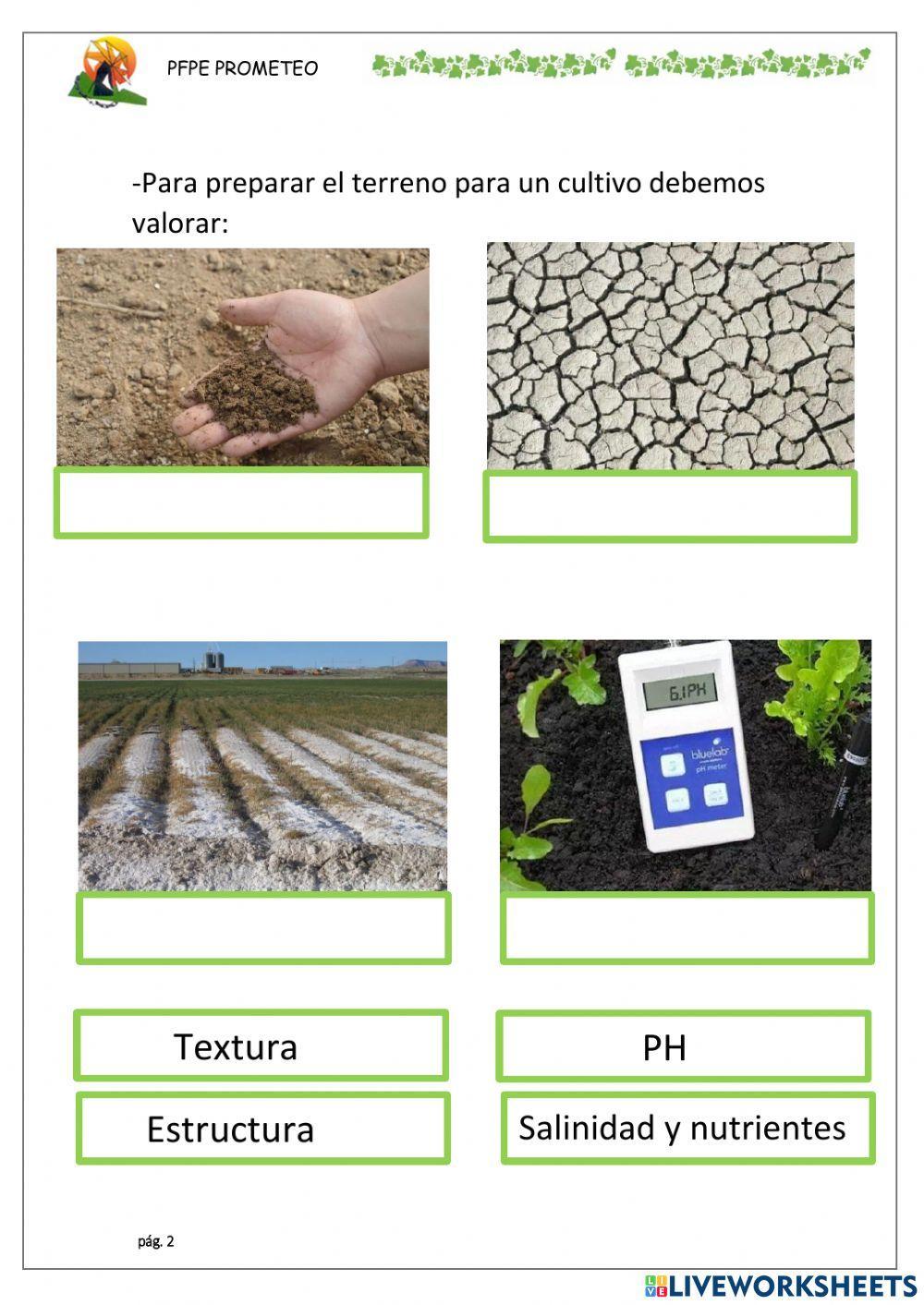 Producción en suelo