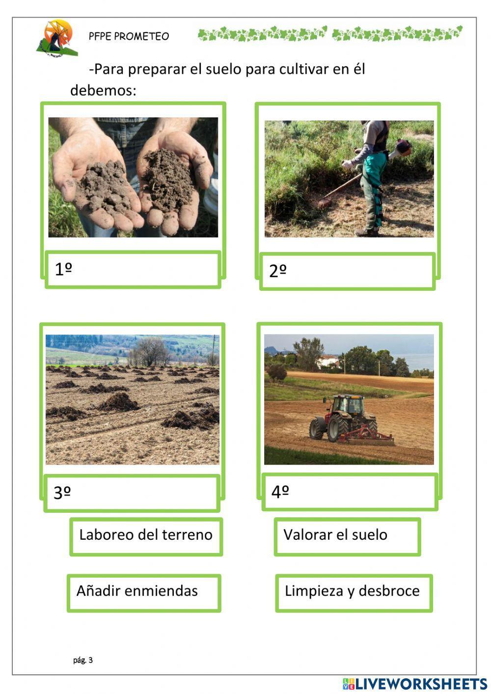 Producción en suelo