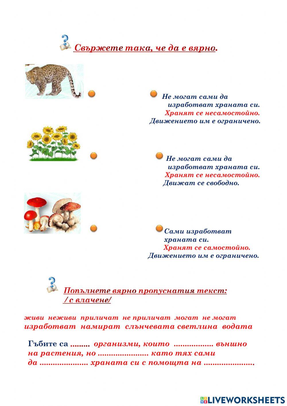 Разнообразие и групиране на живи организми 3 клас