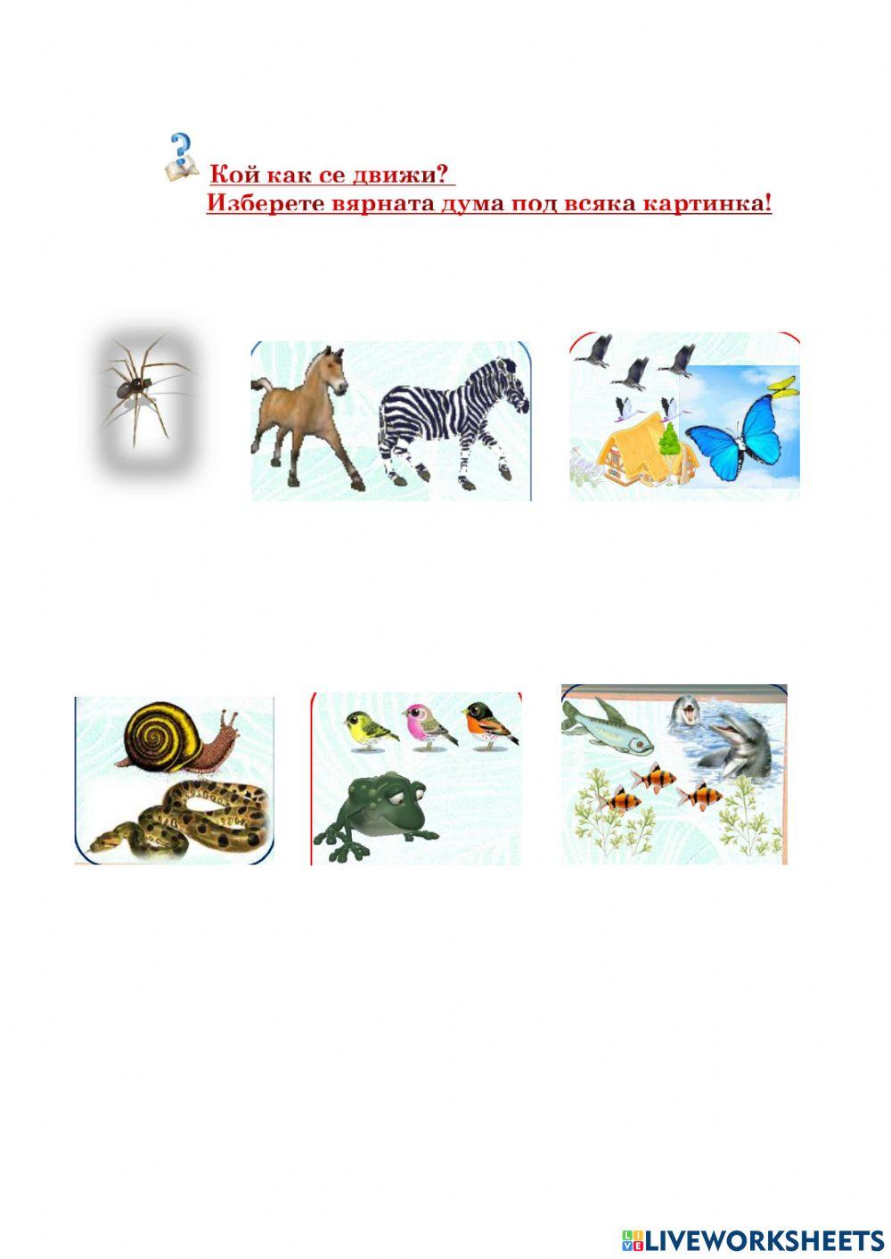 Разнообразие и групиране на живи организми 3 клас