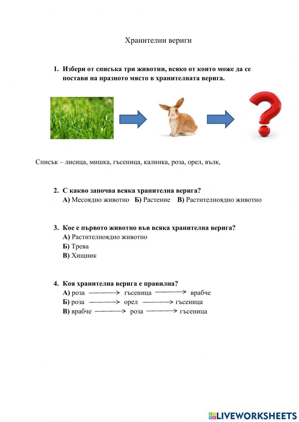 Хранителна верига