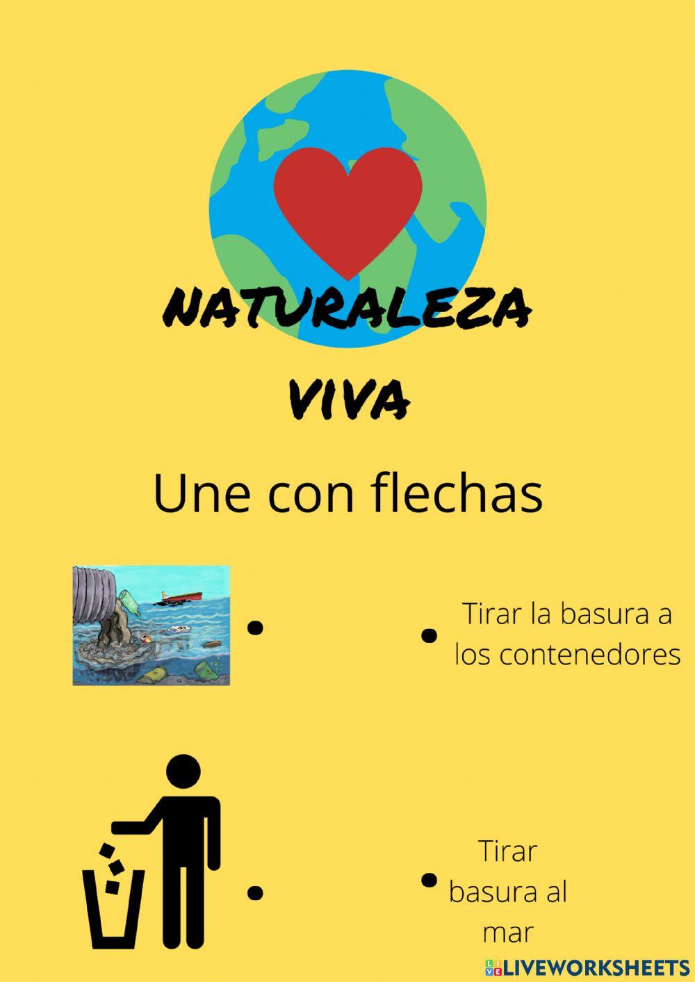 Naturaleza viva