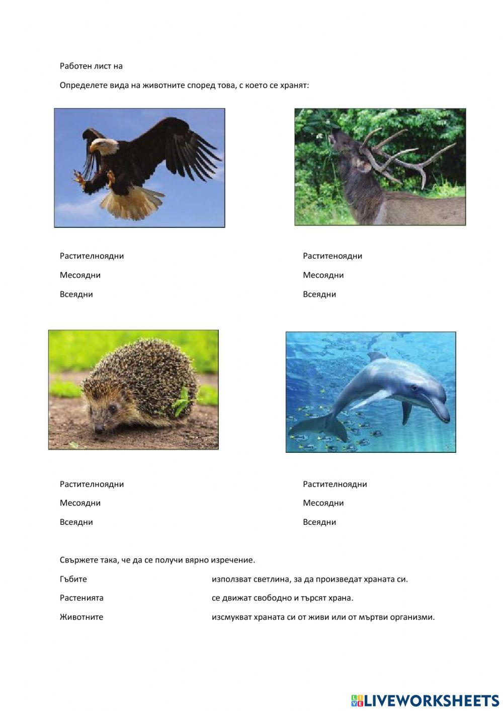 Интерактивен лист