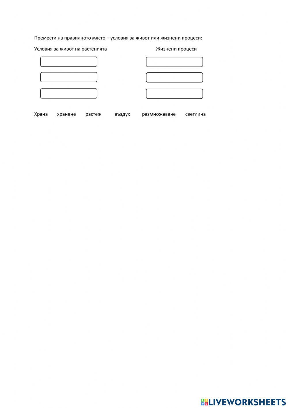 Интерактивен лист