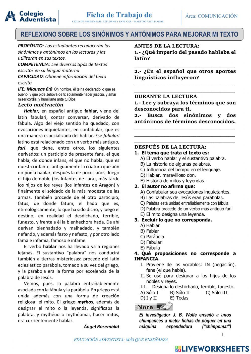 Reflexiono sobre los Sinónimos y Antonimos