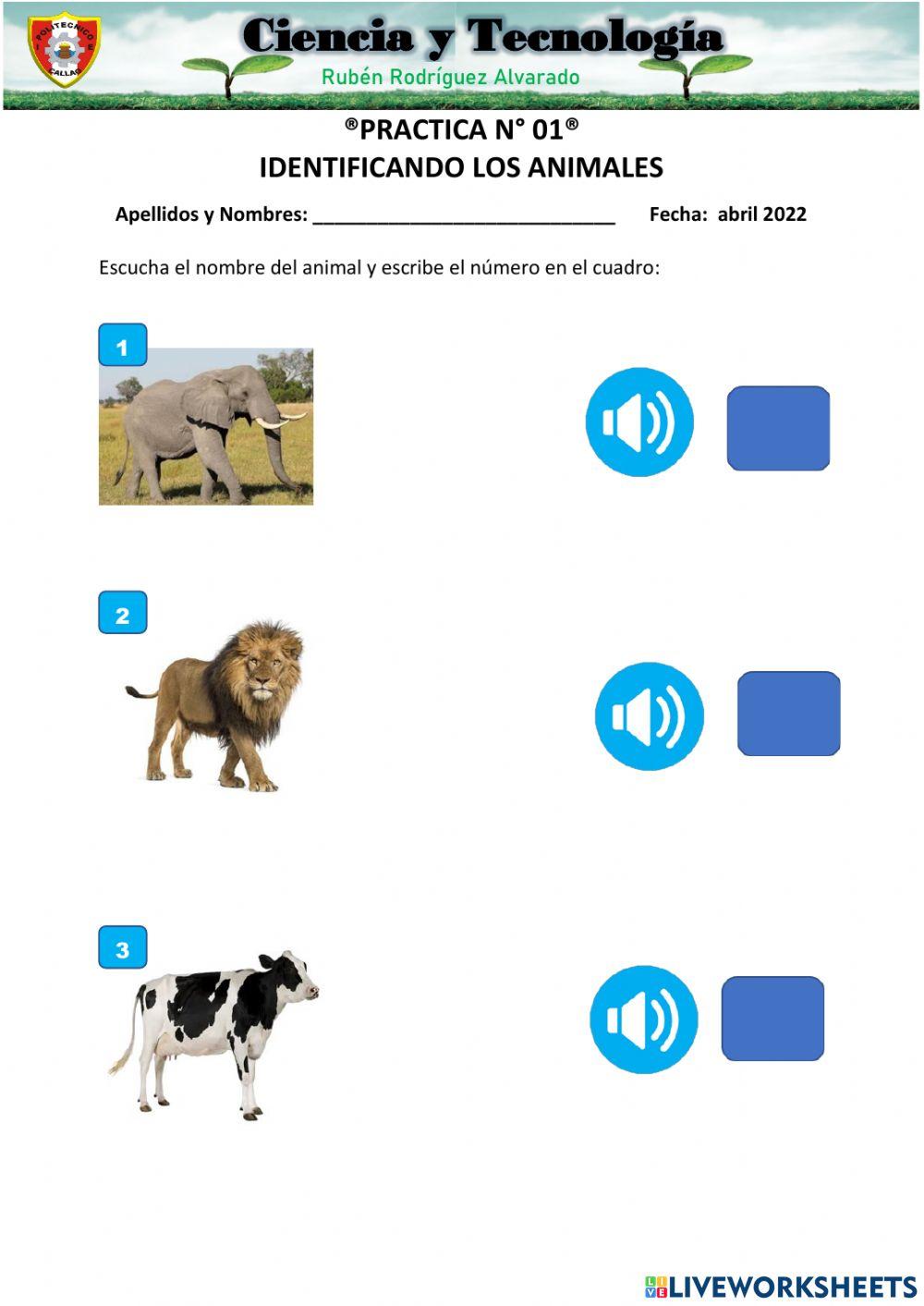 Conociendo el sonido de los animales