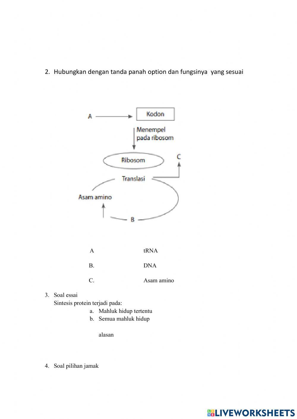 Lkpd sintesis protein