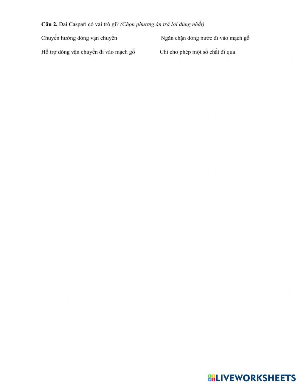 II.Cơ chế hấp thụ nước và ion khoáng