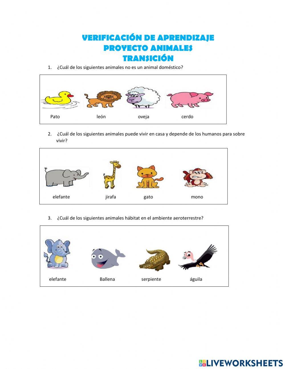 Verificacion aprendizaje animales