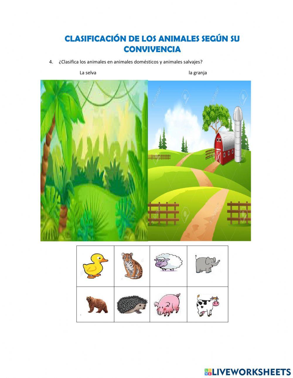 Verificacion aprendizaje animales