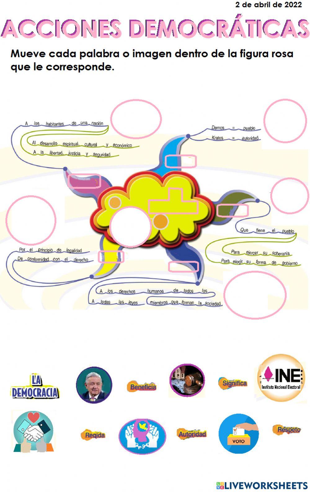 Actividad acciones democráticas
