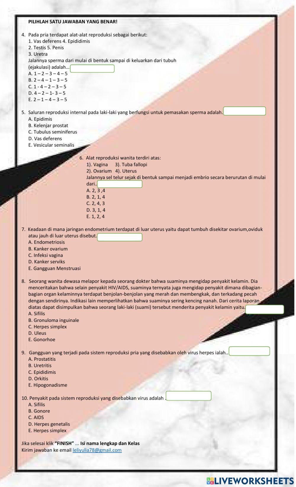 LKPD 19 Sistem Reproduksi Pada Manusia