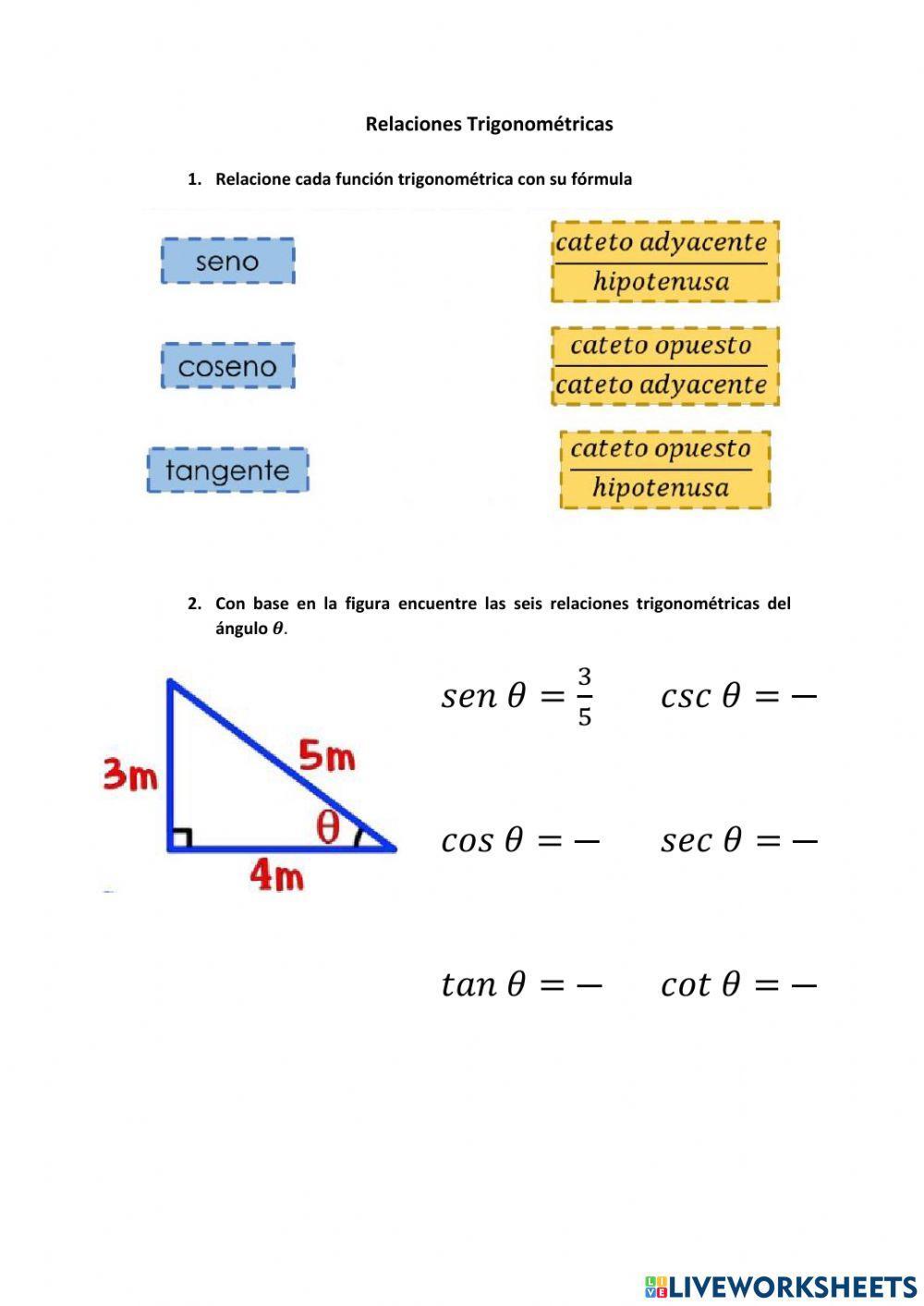 Hoja de Trabajo - Día 4