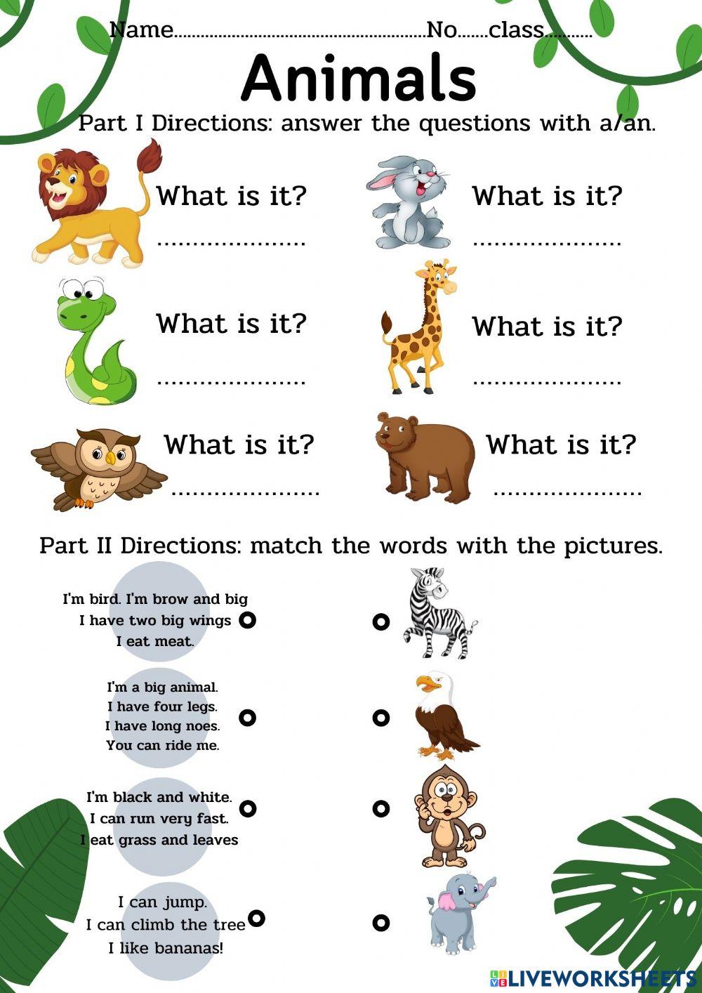 Animals worksheet