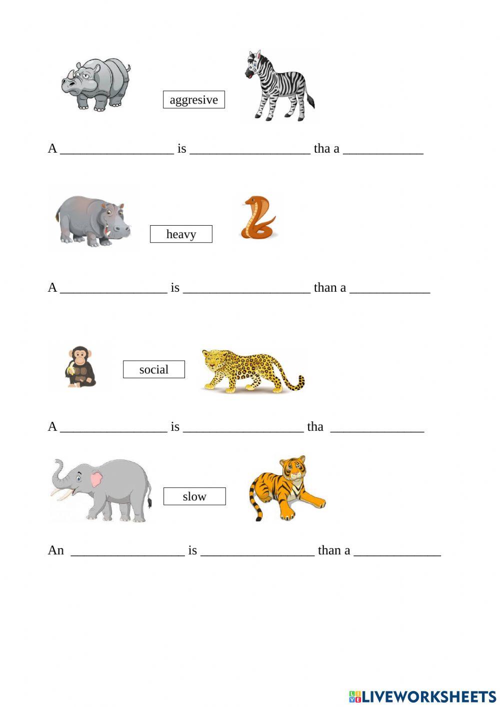 Wild animals Wild animals
